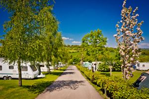 Andrewshayes Holiday Park sits in pretty Devon countryside