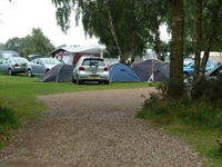 camping at kelling heath park in north norfolk