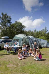 Essential camping gear for family camp