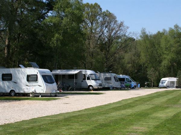 Campsites In Dorset Wareham Wareham Forest Tourist Park Uk Campsite Finder Out And About Live