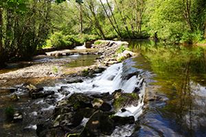 The weir at the end of the campsite is great for a relaxing walk