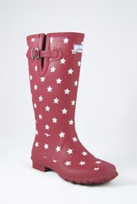 joules boot