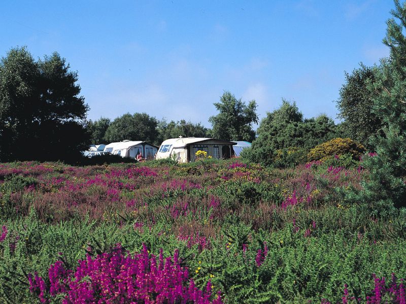 Campsites in Herefordshire Hereford The Hollybush Inn Campsite