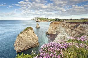 Stunning Isle of Wight scenery