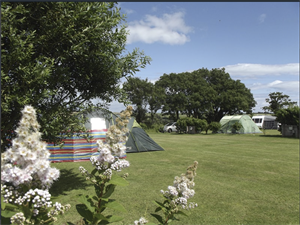 Camping pitch at the Parkland site (picture courtesy of Parkland)