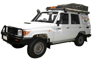 The Safari Landcruiser takes you to the adventure